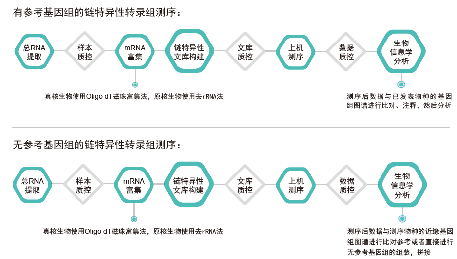 转录组测序-技术路线-K8凯发国际基因