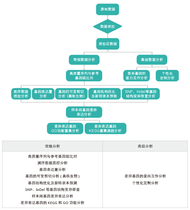 转录组测序-生信分析流程（有参）-K8凯发国际基因