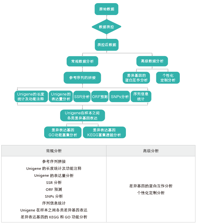转录组测序-生信分析流程（无参）-K8凯发国际基因