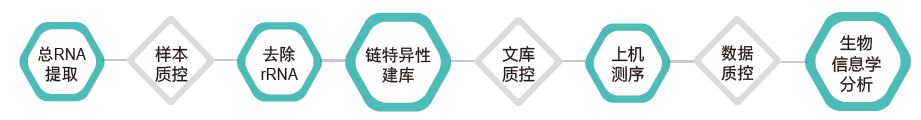长链非编码RNA（lncRNA）测序-技术路线-K8凯发国际基因