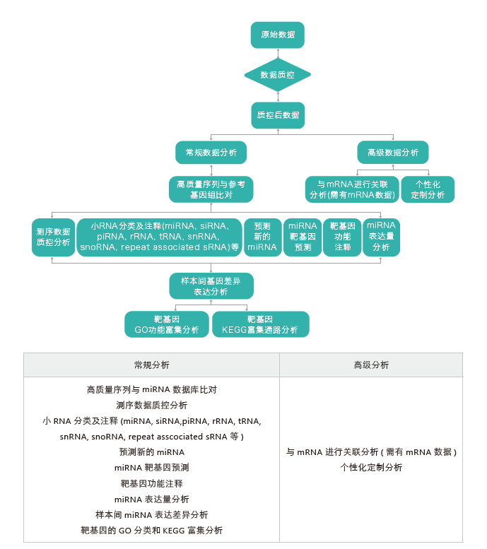 小RNA（small RNA）测序-生信分析流程-K8凯发国际基因