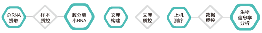 小RNA（small RNA）测序-技术路线-K8凯发国际基因